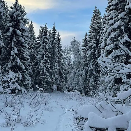 New In Tromso, With Free Parking